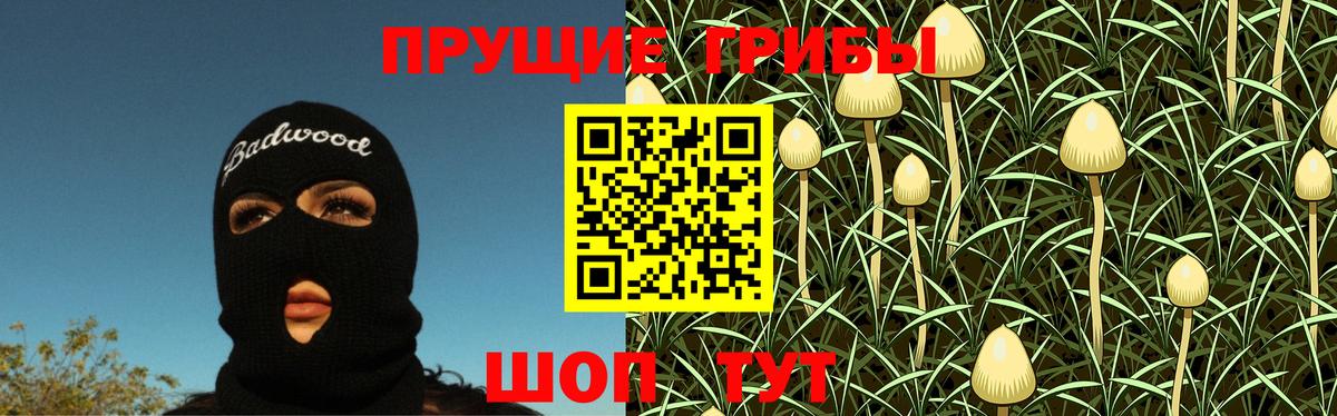 Галлюциногенные грибы Psilocybe Мичуринск