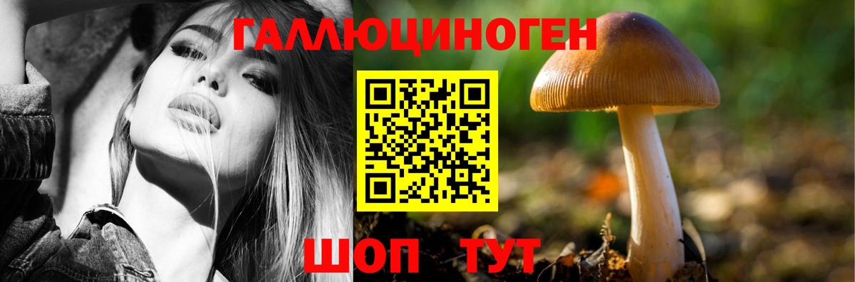 Мичуринск  Псилоцибиновые грибы Cubensis  Вход с VPN  Псилоцибиновые грибы прущие грибы 